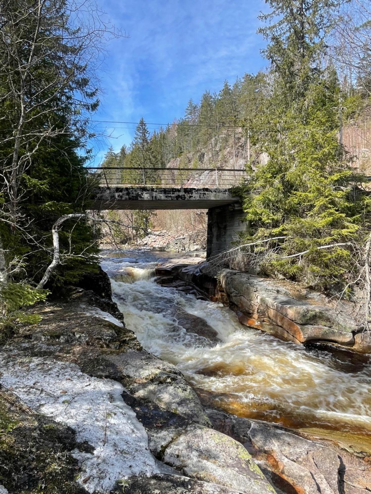 Peaceful Close To Bo Sommarland And Lifjell-perfect For Hiking Feriehus Folkestad (Telemark)